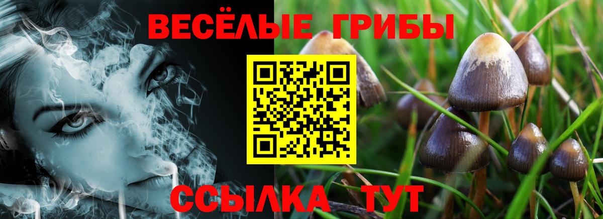 Рузаевка  Галлюциногенные грибы Magic Shrooms  Вход с VPN 